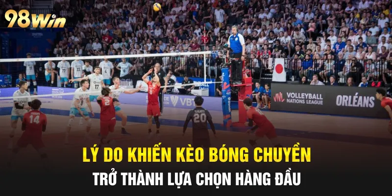 Lý do khiến kèo bóng chuyền trở thành lựa chọn hàng đầu