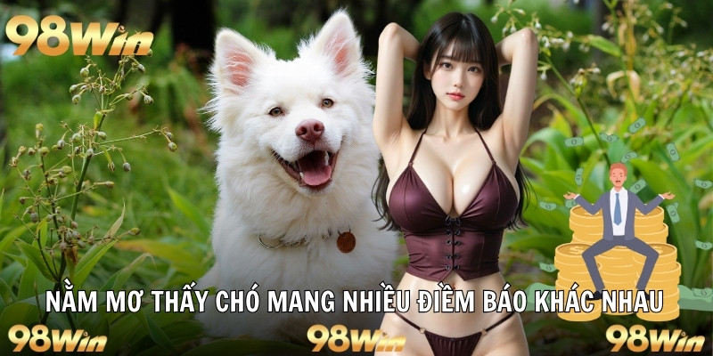 Nằm mơ thấy chó mang nhiều điềm báo khác nhau